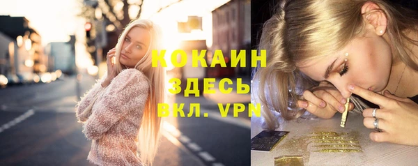 дурь Дмитровск