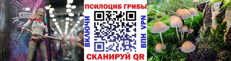блэк спрут ссылка  Завитинск  Псилоцибиновые грибы Psilocybine cubensis 